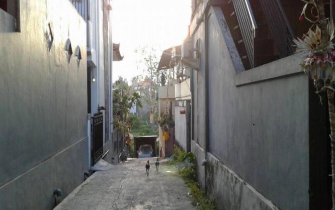 Kos Aman di Dalung Denpasar Bali Image