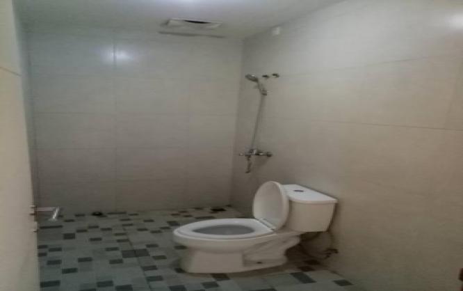 Flamboyant Kost Image