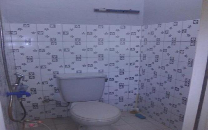 Kost Orchid 25 Image