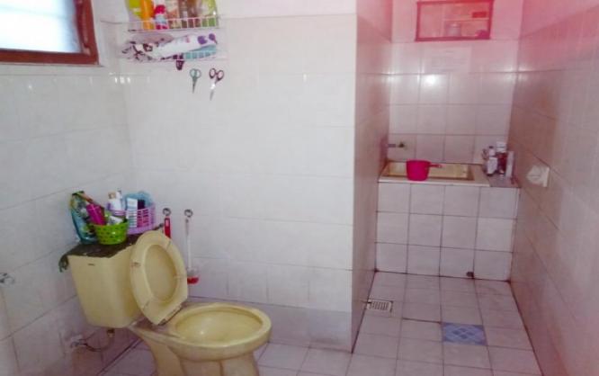 Kos Bu Felis Bunga Cente Image