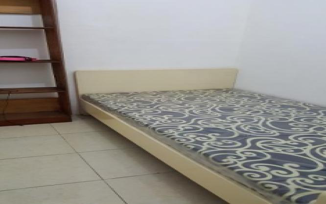 Kost Wanita CK Image