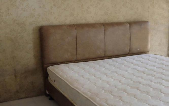 Kost Kayu Putih Image