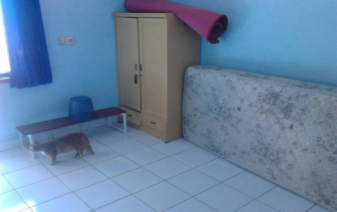 Kos Karang Layung Dalam 12-181A Image