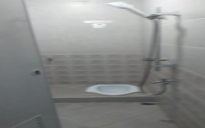 Sheeva in-de KOST Image