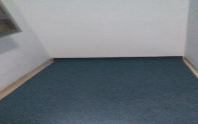 Sheeva in-de KOST Image