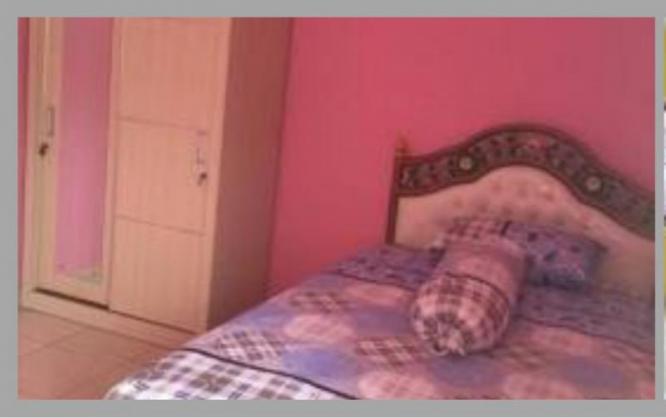 The Yellow House Image