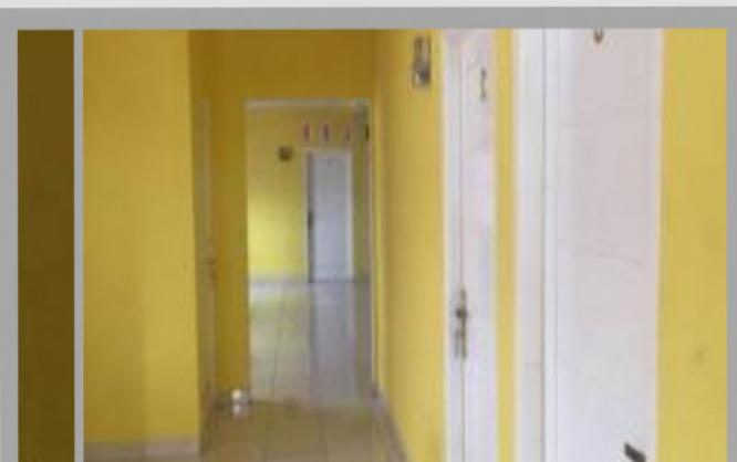 The Yellow House Image