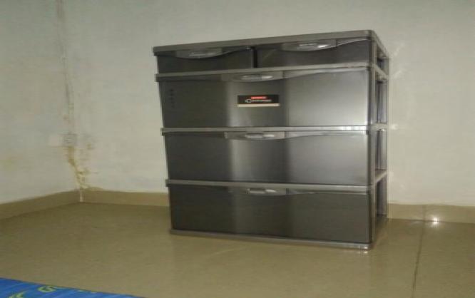 Ferina Kost (Khusus Wanita) Image