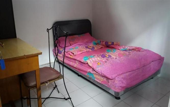 Homey House Solo Image