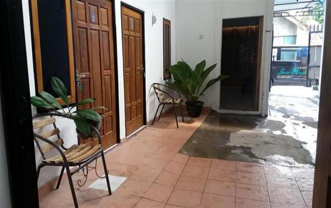 Homey House Solo Image