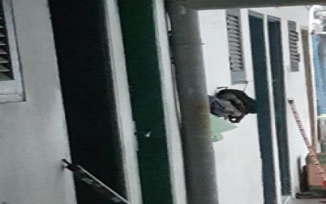 kos pria dan wanita Image