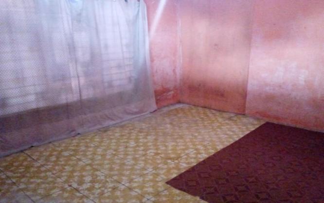 Kost Simkrangkir Image