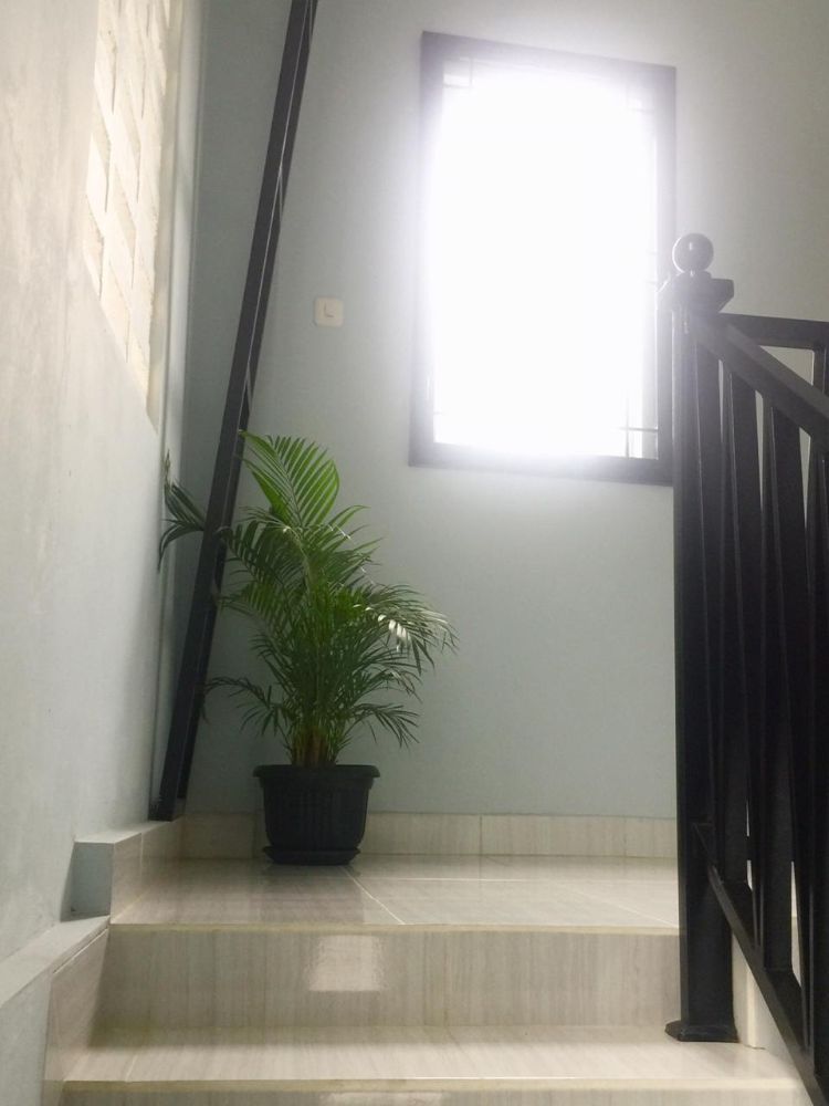 Cempaka Kost Putri (New property) Image