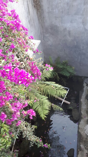 Juna kost murah dan nyaman di sekitaran UMY Image