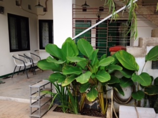 Kost Asri di Pondok Bambu Jakarta Timur Image