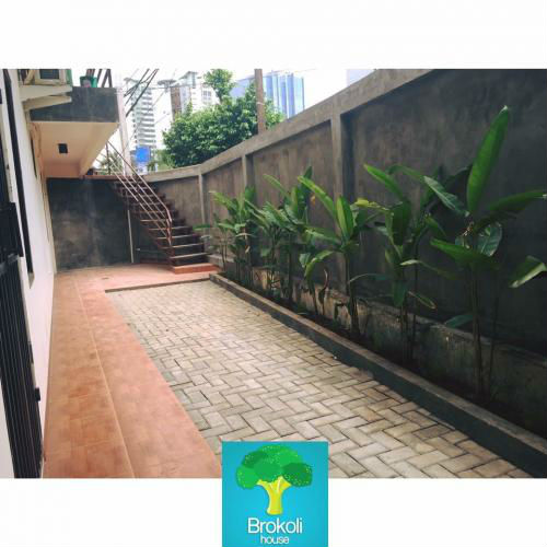 Kost Eksklusif Brokoli House di Slipi / Palmerah Image