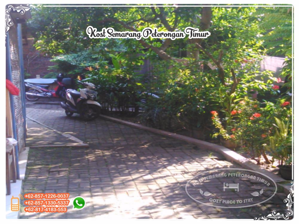 Kost Semarang Peterongan Timur Image