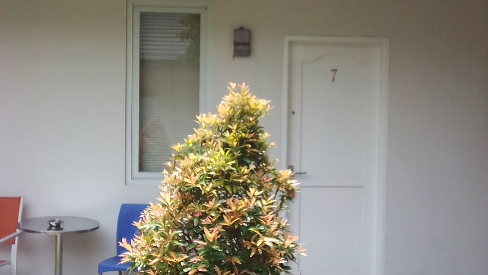 Rumah 17 Pondok Indah Image