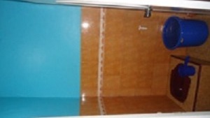 Shibaa Kos Putri Image