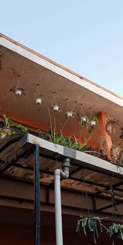 Lilis Sukmawati Image