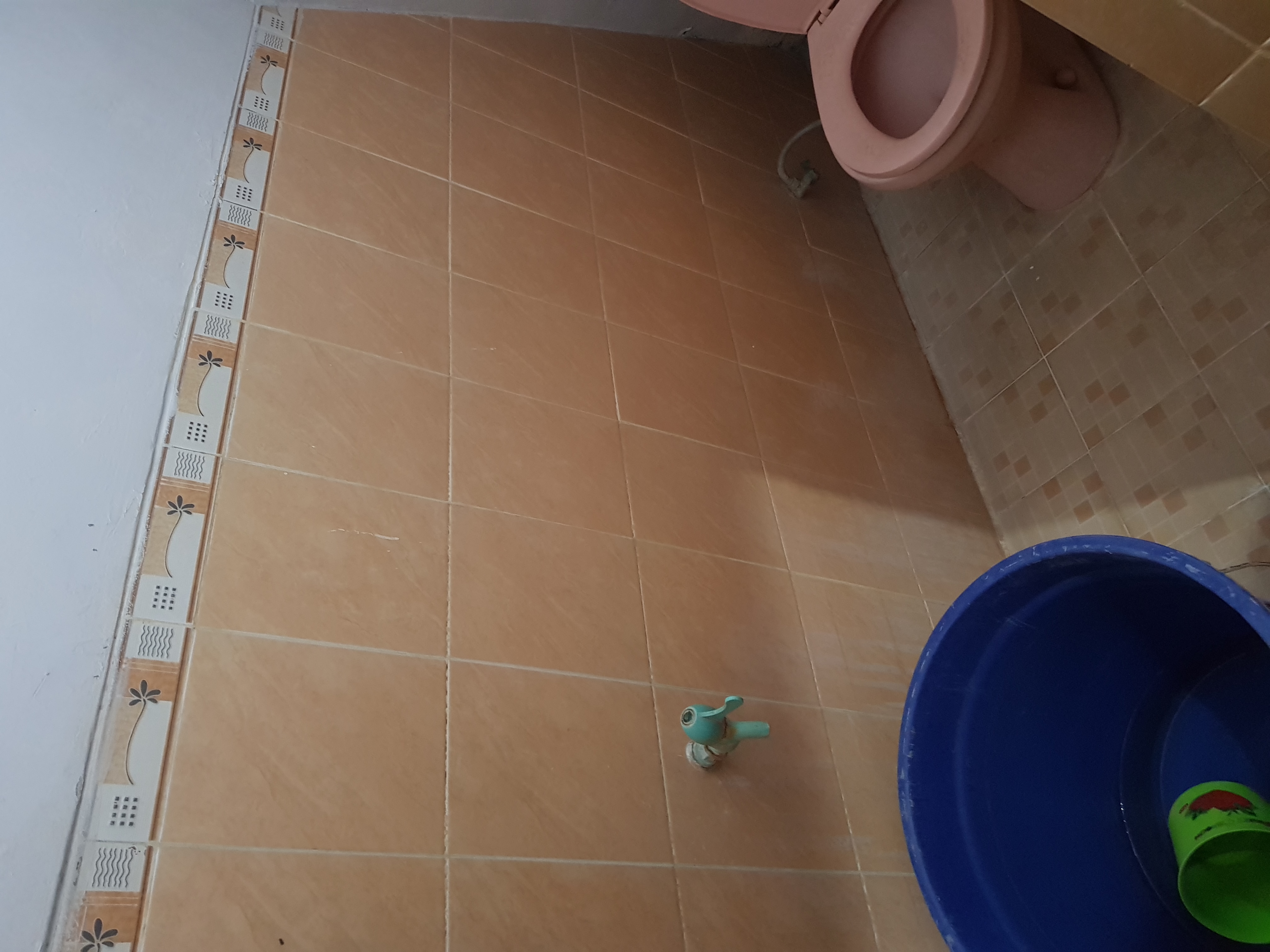 kosan bebas aman nyaman wisma RoSa I JakTim Image