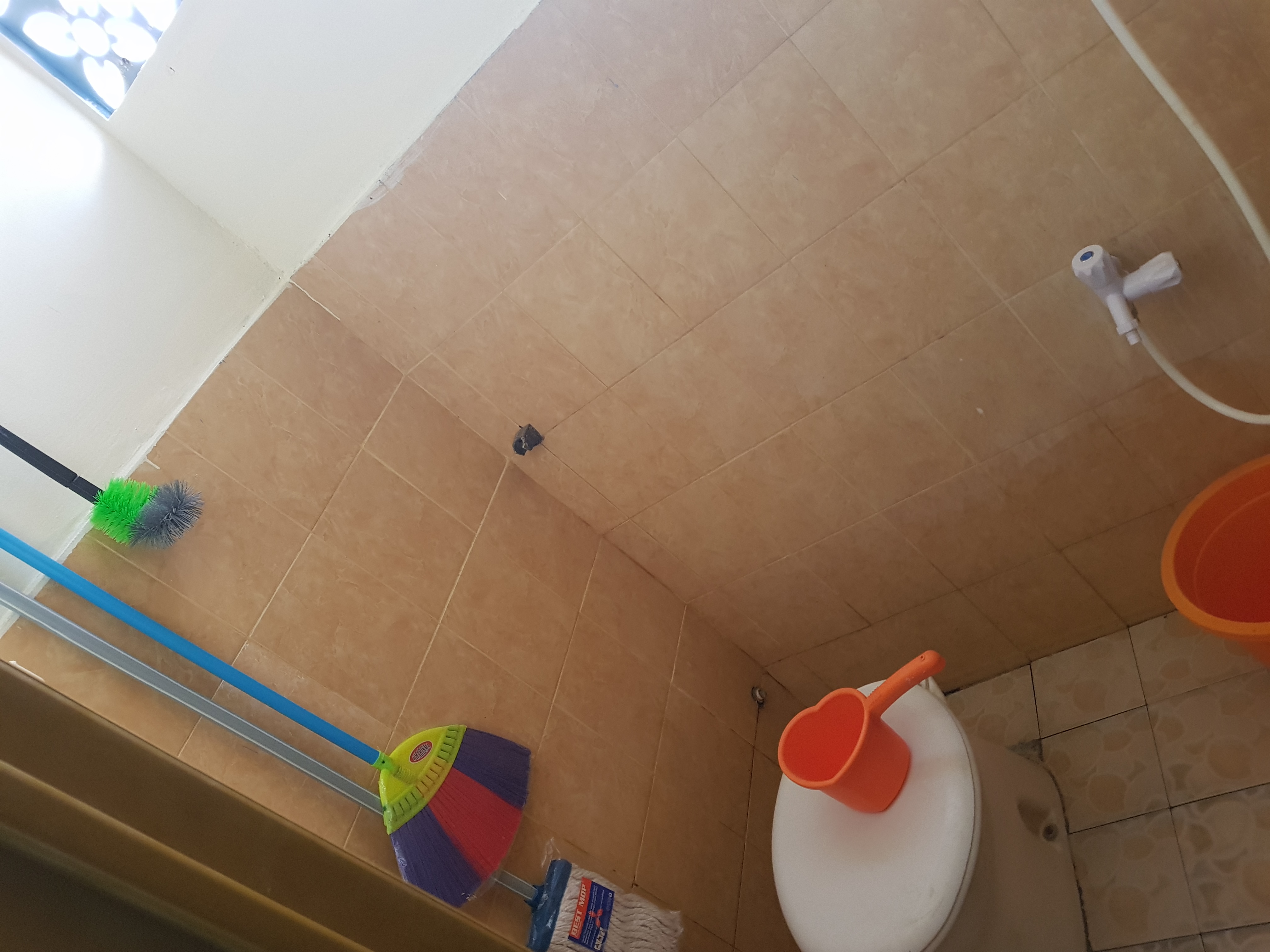 kosan bebas aman nyaman wisma RoSa I JakTim Image