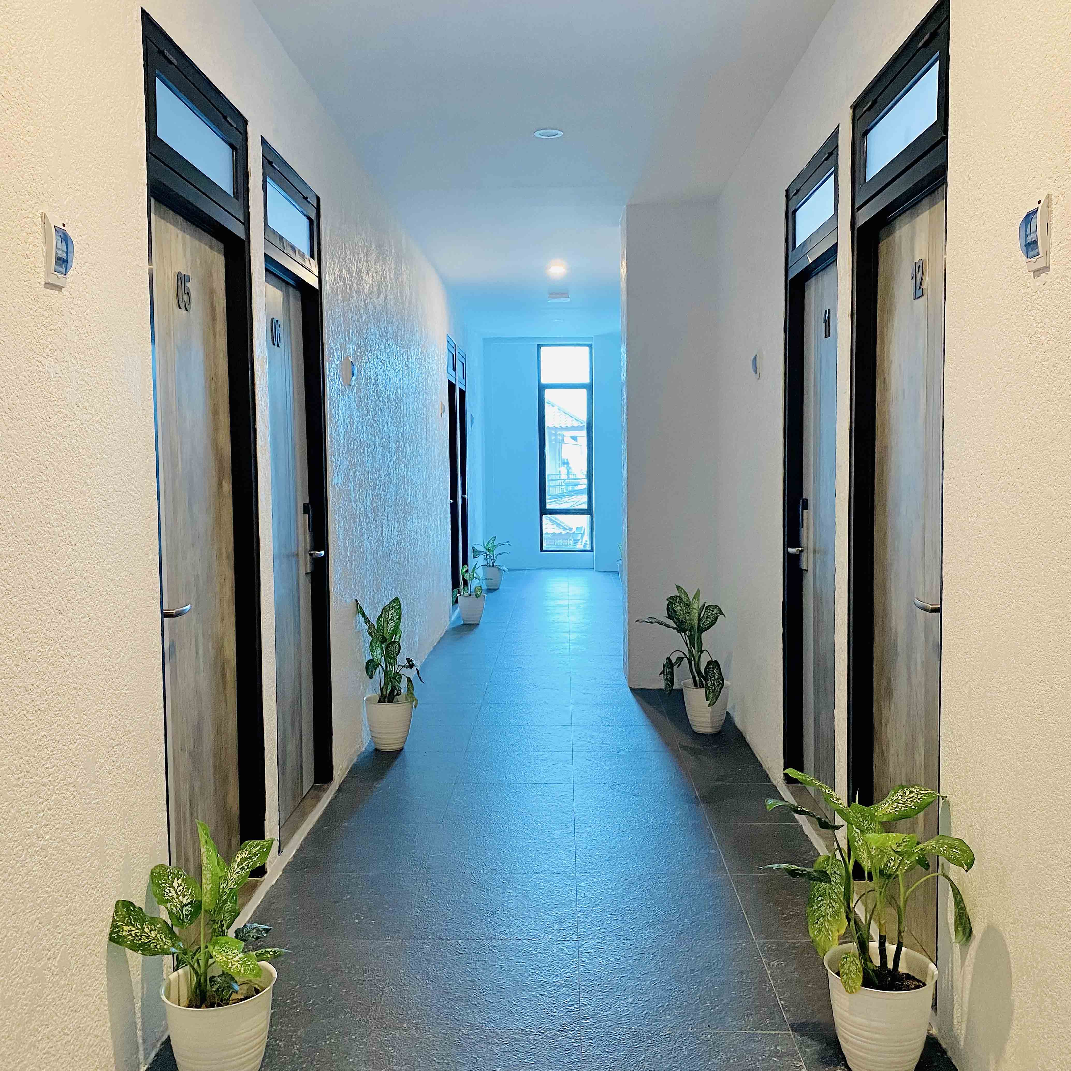 D'Paragon Matraman Image