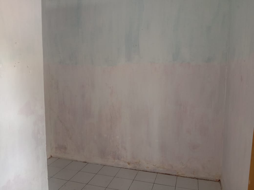 Kost New Trans Image