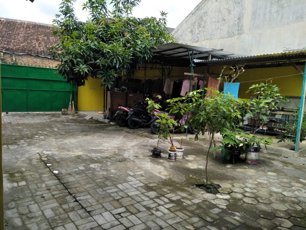 Kost Putri Survive Image