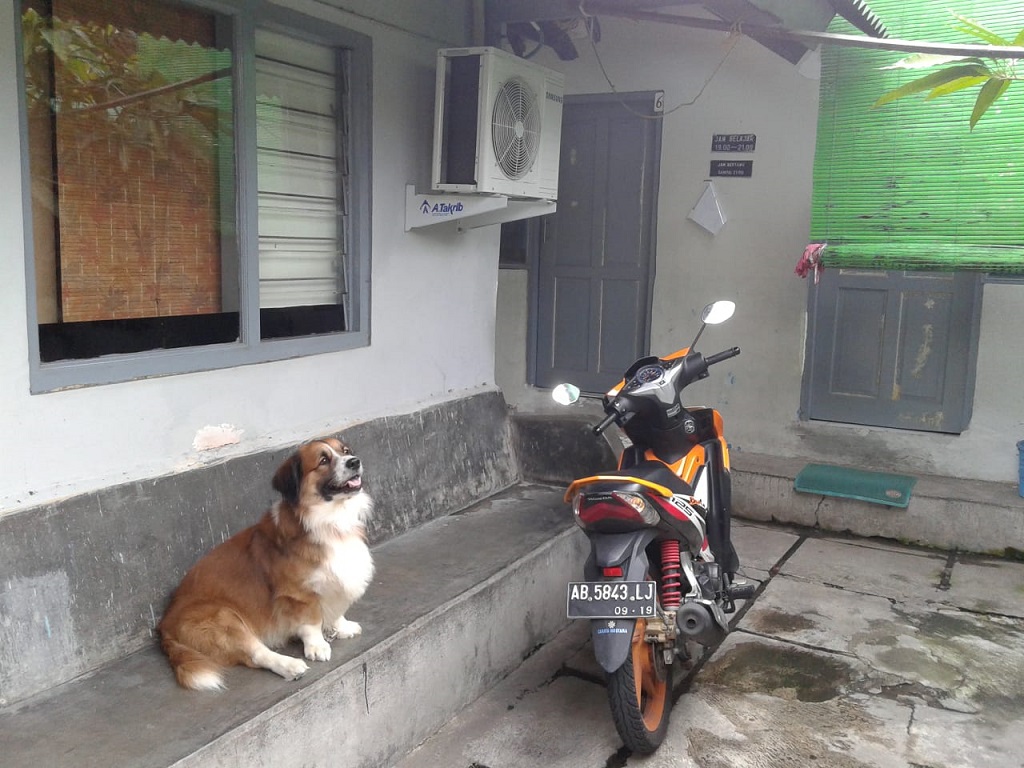 Kost Ibu Fajar Image