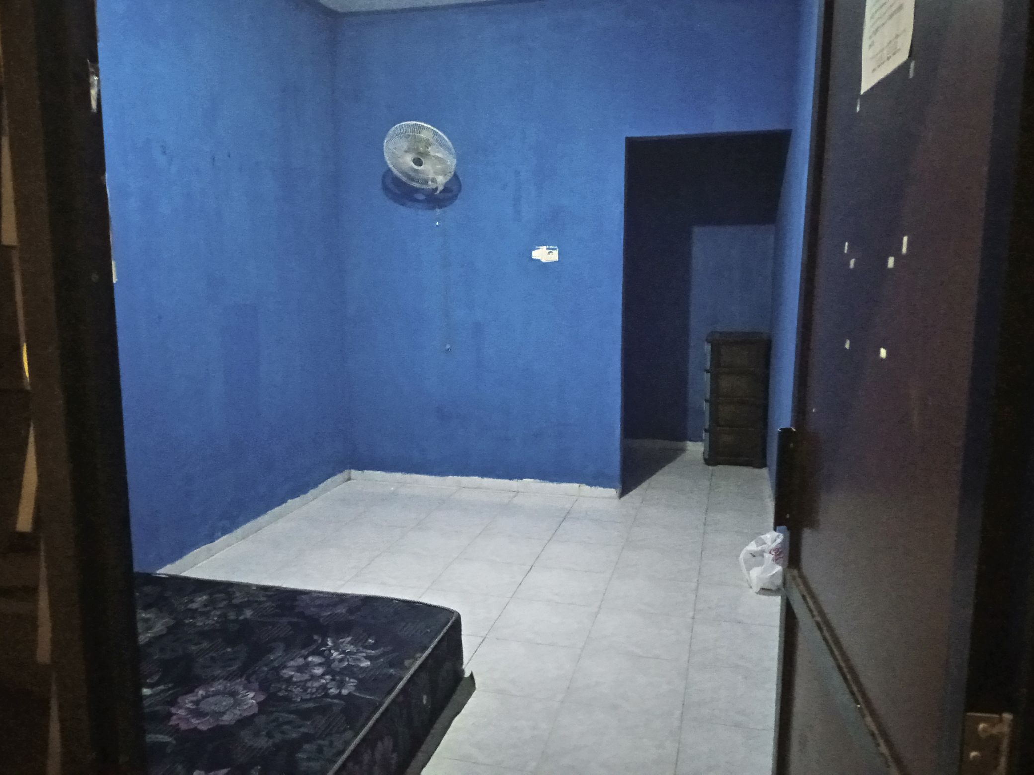 Kost The Red Colour Wall Image