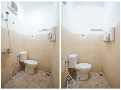 Djuragan Kamar Maleo Cempaka Putih Image